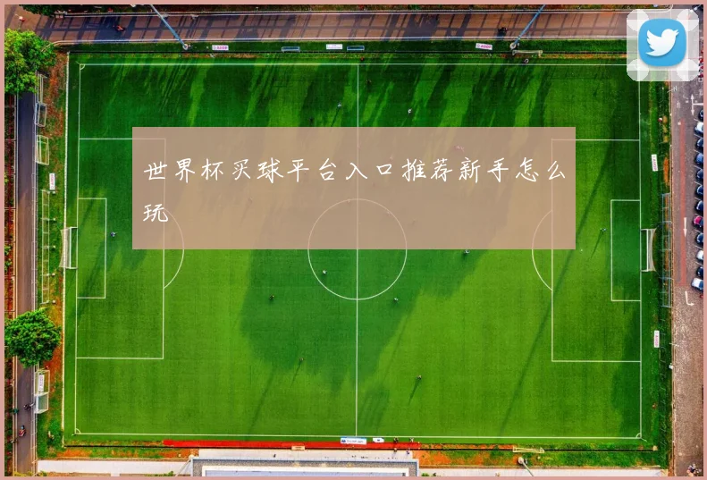 世界杯买球平台入口推荐新手怎么玩