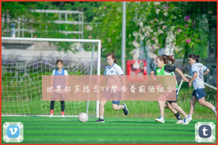 世界杯苏格兰vs摩洛哥前场组合