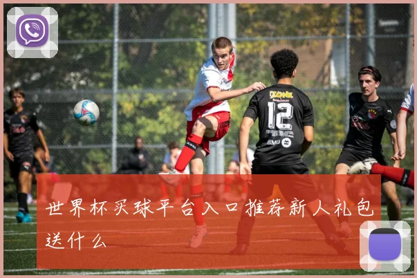 世界杯买球平台入口推荐新人礼包送什么